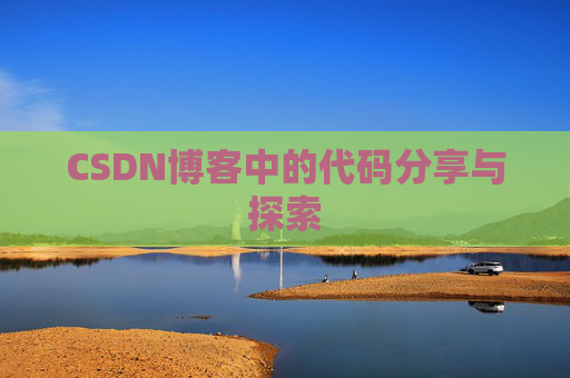 CSDN博客中的代码分享与探索